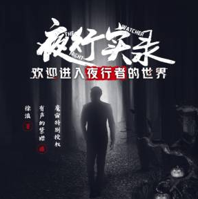 《夜行实录》有声小说下载（全集） 播讲_有声的紫襟_阿里网盘-听书迷