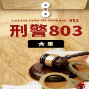 刑警803有声小说全集_上海故事电波播音-听书迷