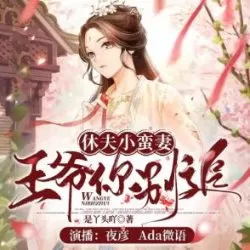 《休夫小蛮妻：王爷你别追》有声小说-播音:夜彦【完结】-听书迷