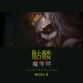 《骷髅魔导师》有声小说全集_沐枫有声播讲-听书迷